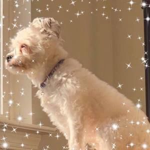 Meet your Posher, Michele